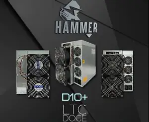 HAMMER D10+